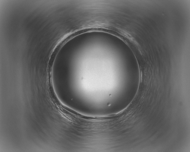 X0000057101316200509091153