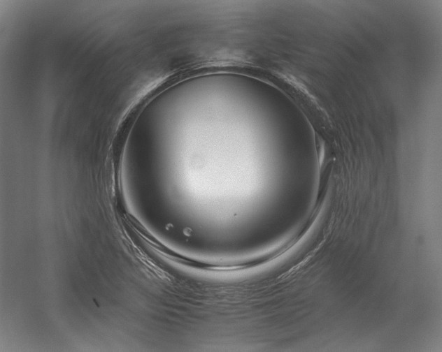 X0000057101317200509091153