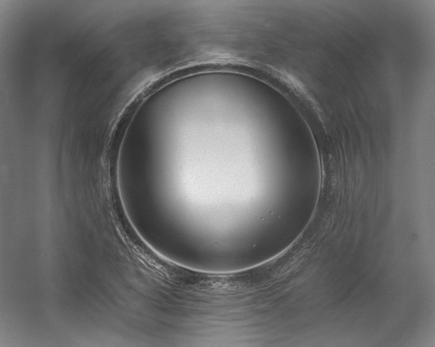 X0000057101318200509091153