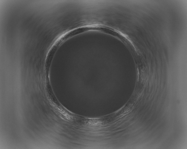 X0000057101319200509091153