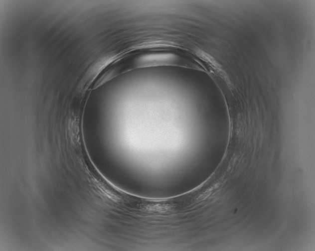 X0000057101321200509091153
