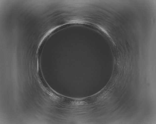 X0000057101323200509091153