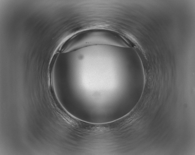 X0000057101324200509091153