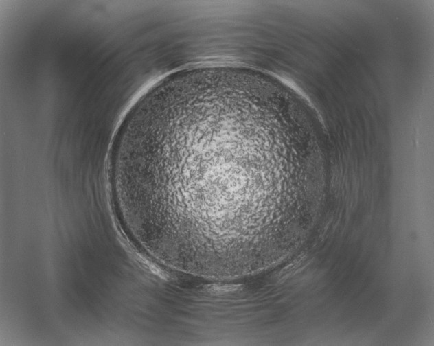 X0000057101325200509091153