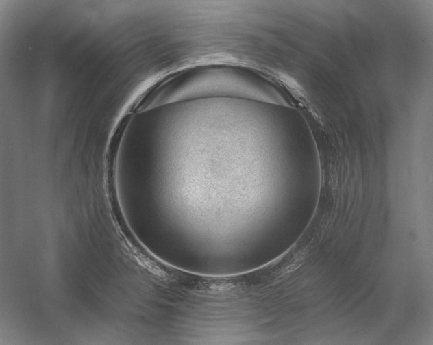X0000057101326200509091153