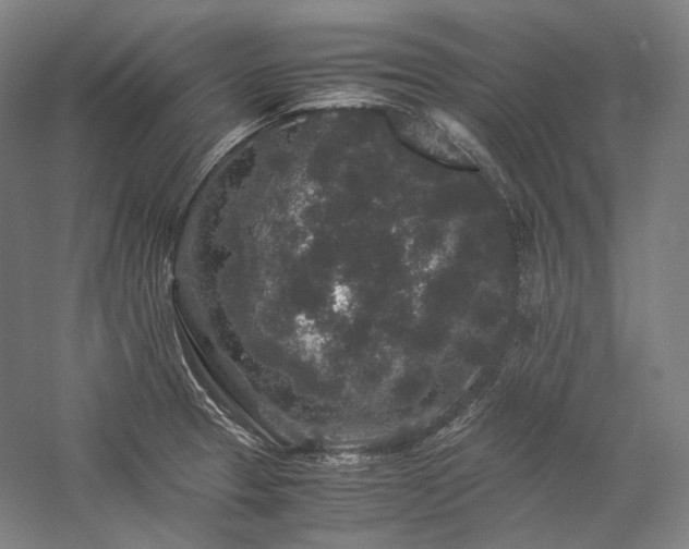 X0000057101329200509091153