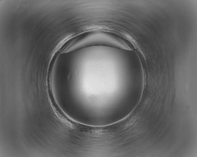 X0000057101330200509091153