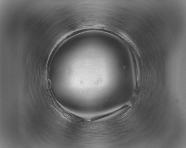 X0000057101332200509091153