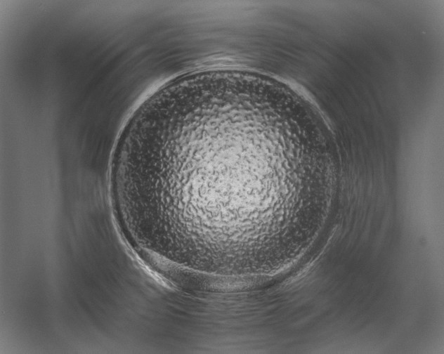 X0000057101333200509091153