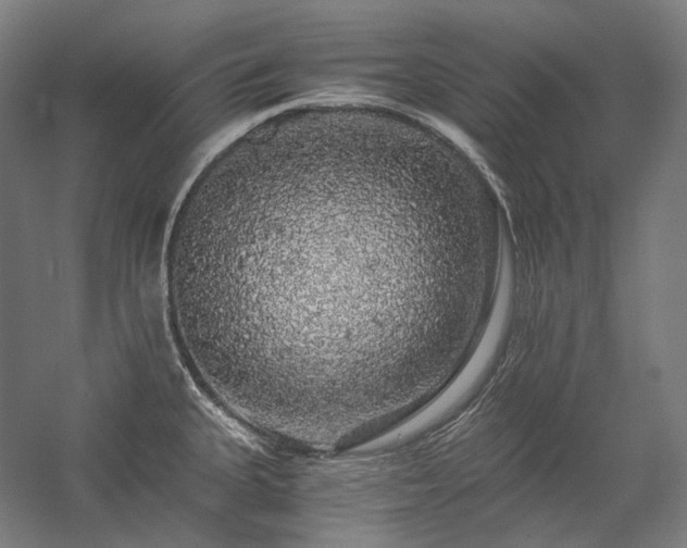 X0000057101335200509091153