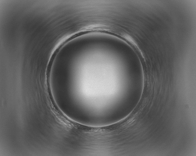 X0000057101336200509091153