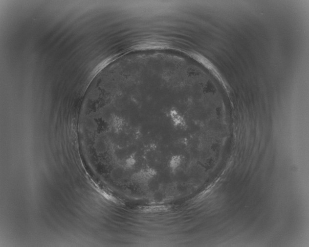 X0000057101337200509091153