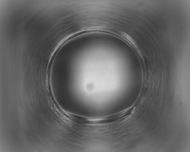 X0000057101340200509091154