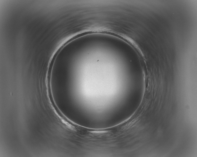 X0000057101343200509091154
