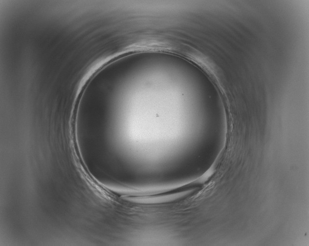 X0000057101344200509091154