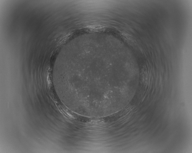 X0000057101346200509091153