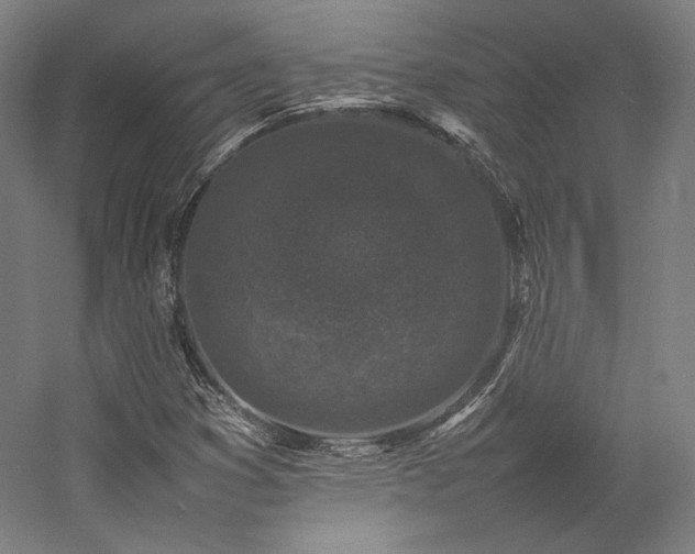 X0000057101353200509091153