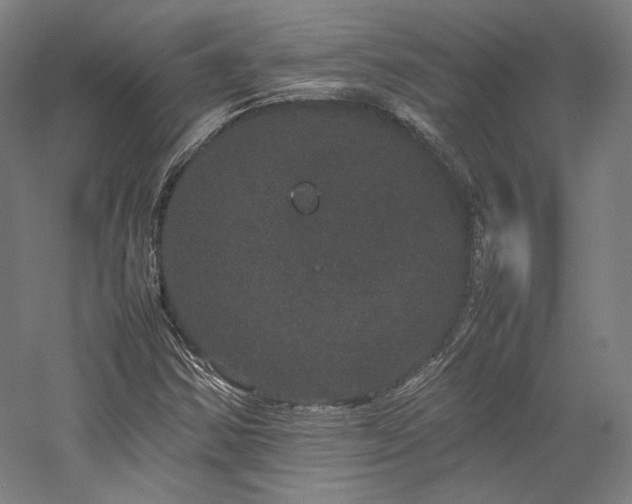 X0000057101354200509091153