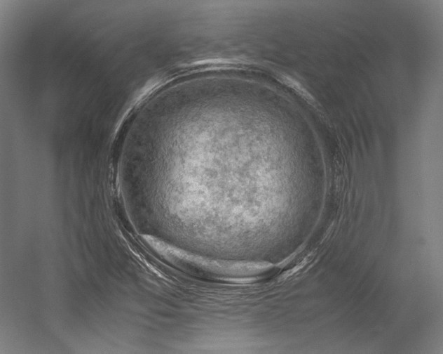 X0000057101357200509091153