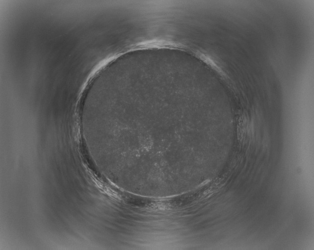 X0000057101358200509091153