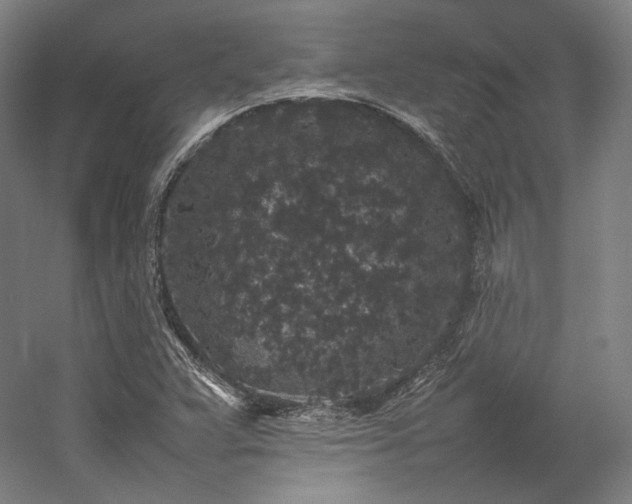 X0000057101359200509091153
