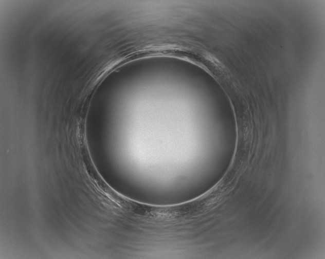 X0000057101361200509091153