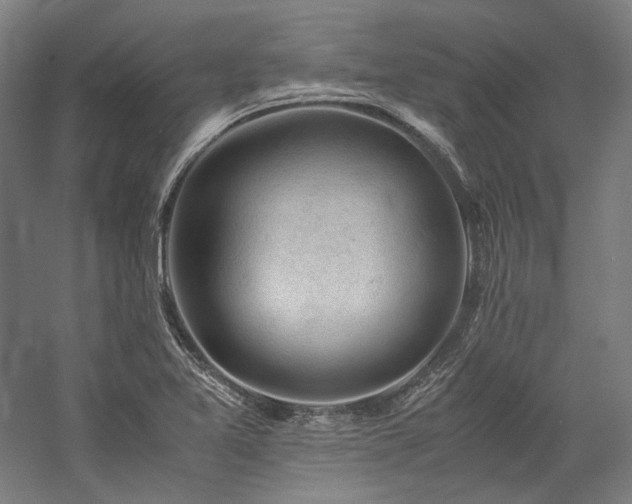 X0000057101365200509091152
