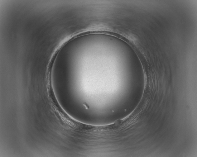 X0000057101366200509091152