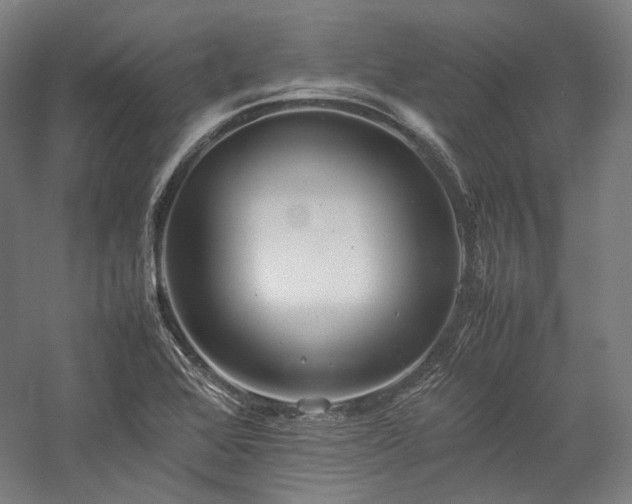 X0000057101368200509091152