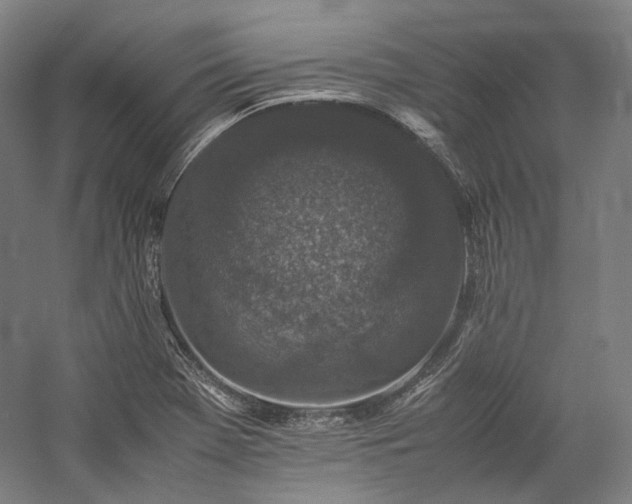 X0000057101369200509091152