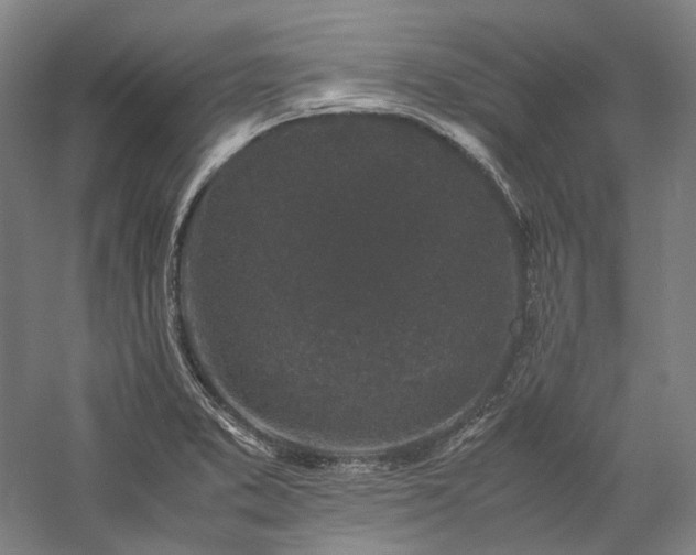X0000057101373200509091152