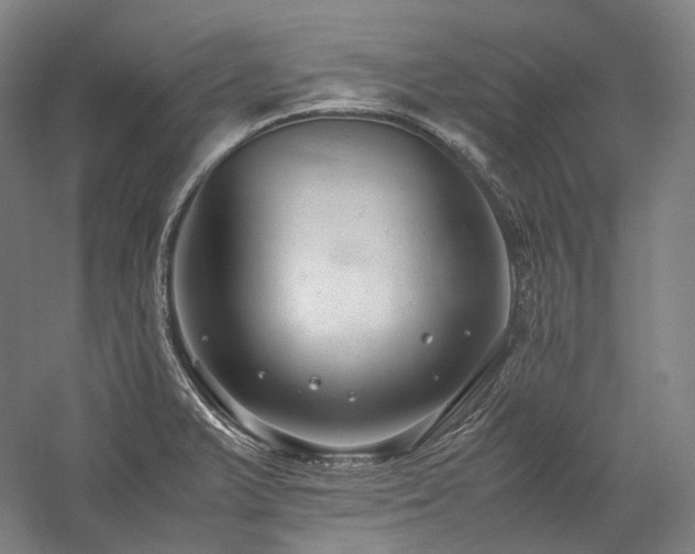 X0000057101375200509091152
