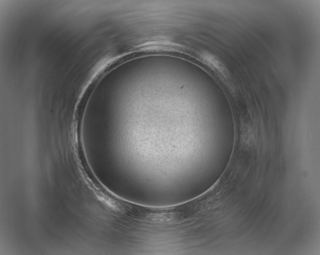 X0000057101376200509091152