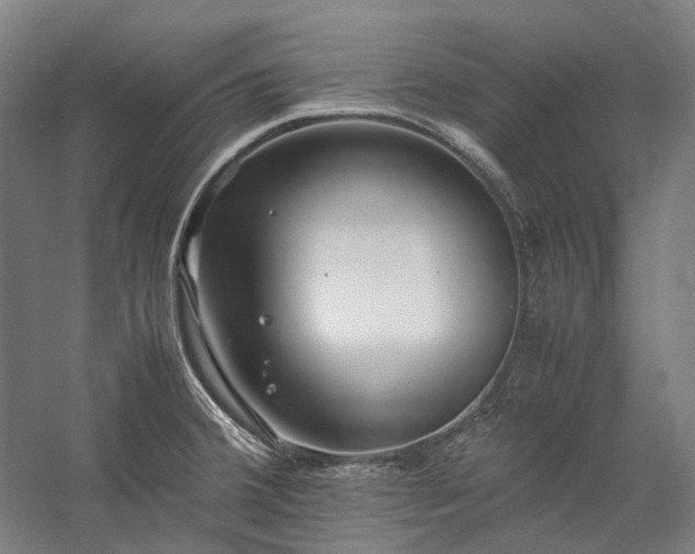 X0000057101380200509091152