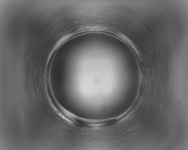 X0000057101381200509091152