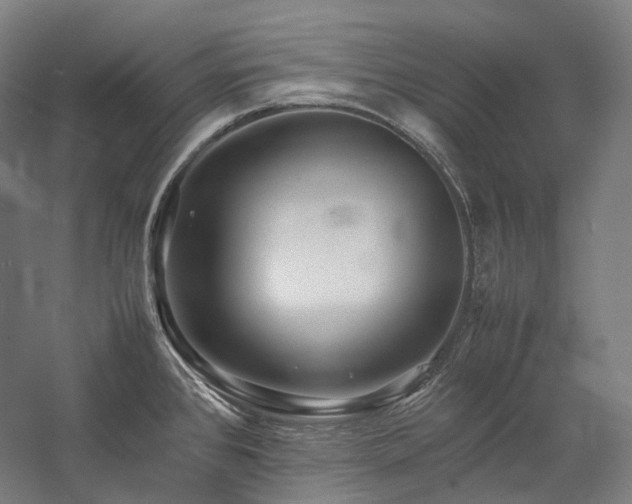 X0000057101384200509091152