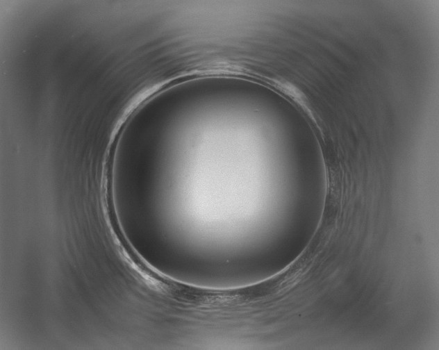 X0000057101387200509091152