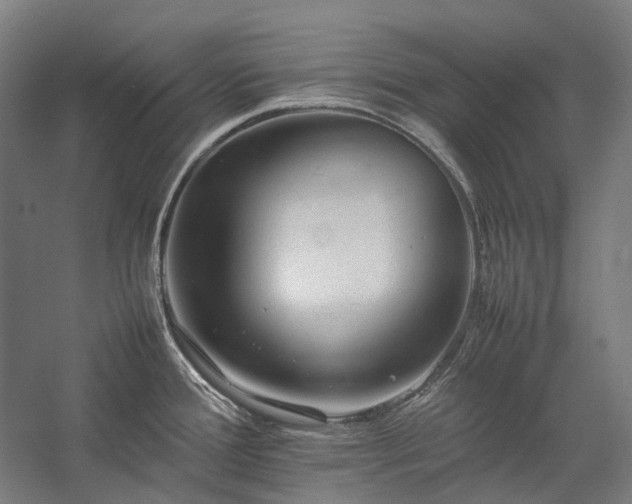 X0000057101388200509091152