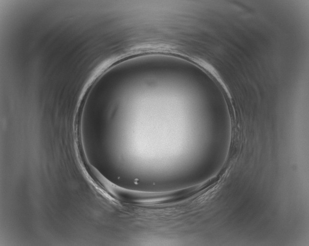 X0000057101389200509091152