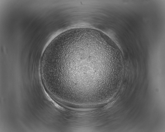 X0000057101390200509091152