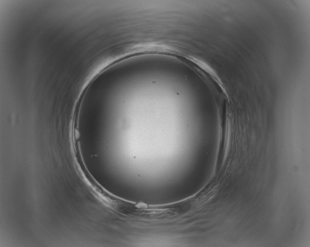 X0000057101391200509091152