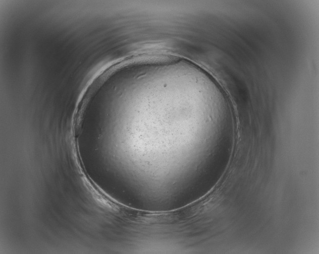 X0000057101392200509091152