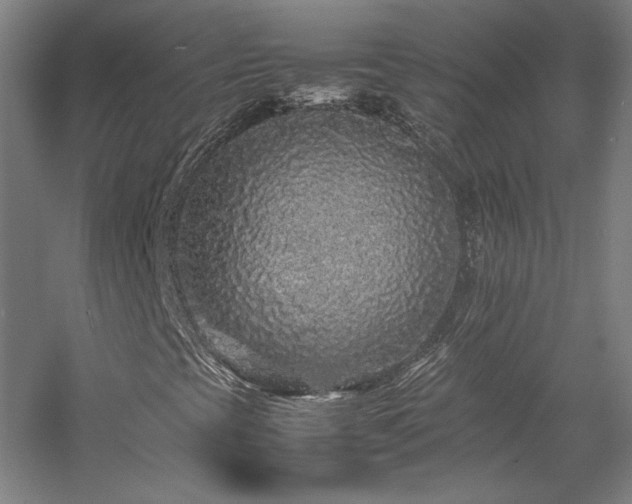 X0000057101393200509091151