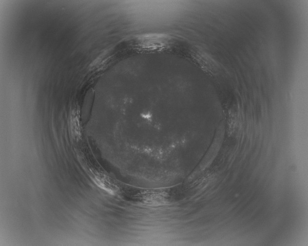 X0000057101394200509091151