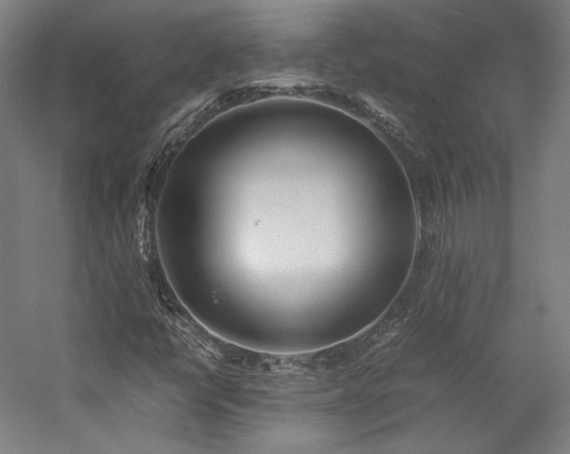 X0000057101398200509091151