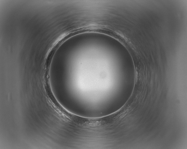 X0000057101410200509091151
