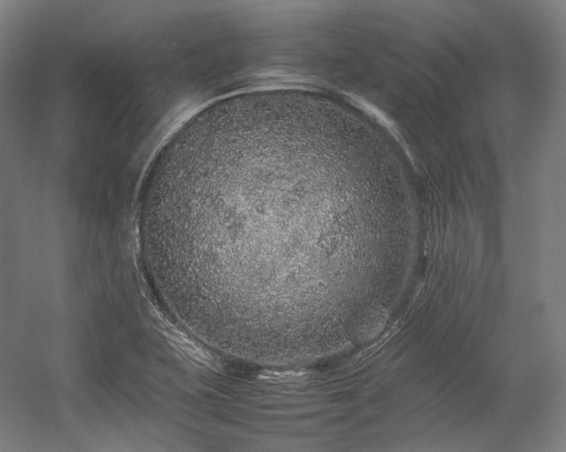 X0000057101415200509091152