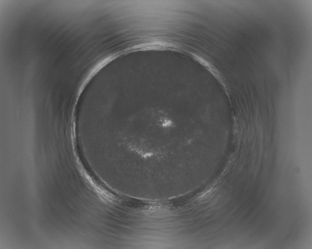 X0000057101418200509091152