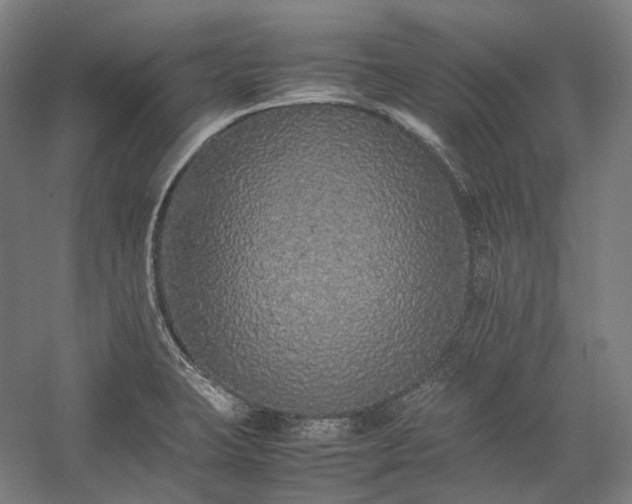 X0000057101423200509091152