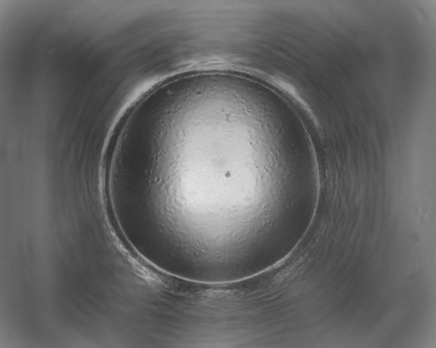 X0000057101424200509091152